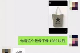 临县为什么选择专业追讨公司来处理您的债务纠纷？